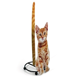 Dérouleur chat roux