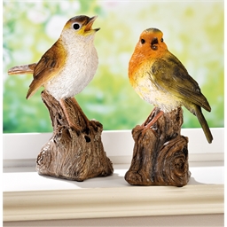 Oiseau siffleur Rouge-gorge, Rossignol ou lot de 2