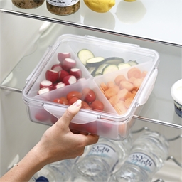 Boîte conservation avec compartiments
