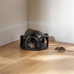 Dôme attrape-souris