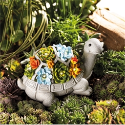 Tortue lumineuse