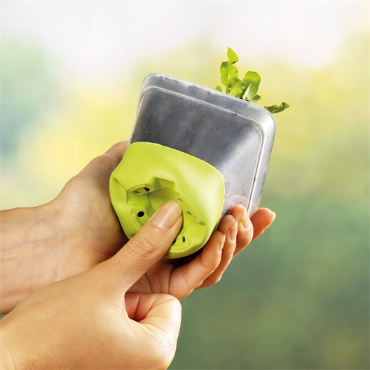 Lot de 6 pots pour semis