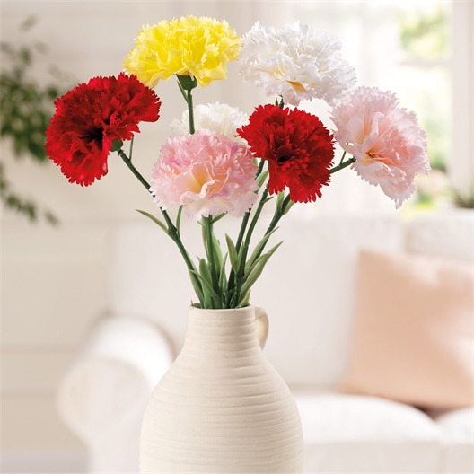 Œillet artificiel Rouge