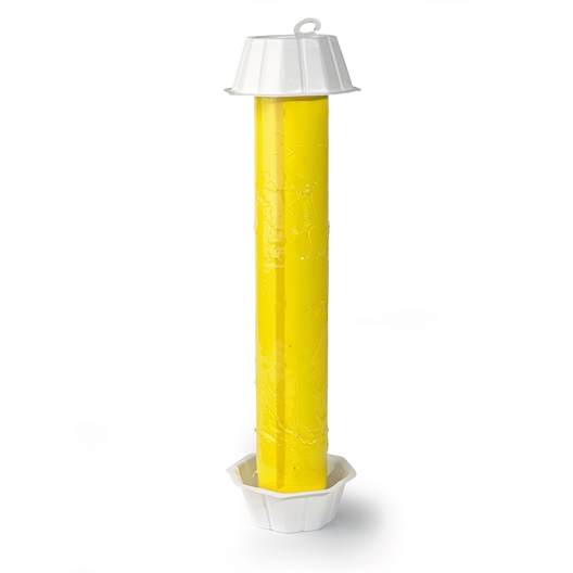 Tube attrape insectes