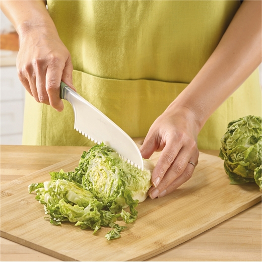 Couteau à salade