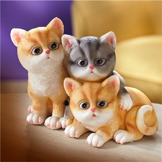3 kittens met bewegingssensor