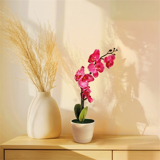 Orchidée lumineuse en pot