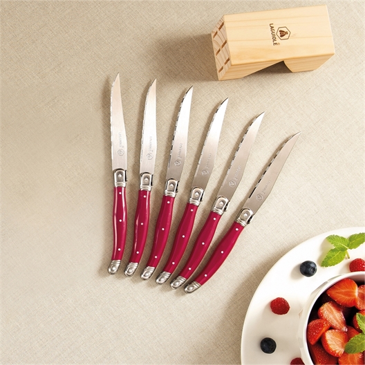 Les 6 couteaux et leur présentoir LAGUIOLE®