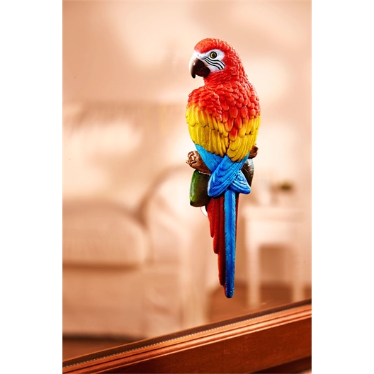 Thermometer/papegaai