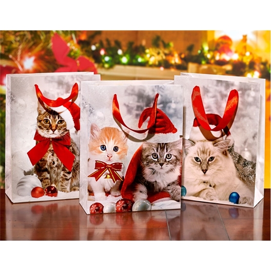 Lot de 3 sacs cadeau chatons