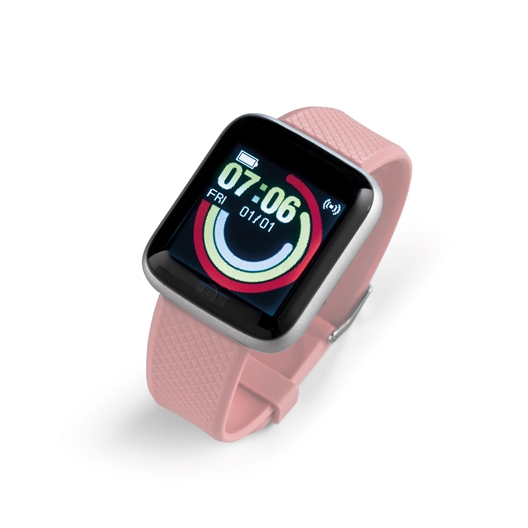 Les 2 bracelets interchangeables