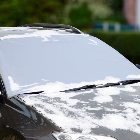 Magnetic windscreen protector