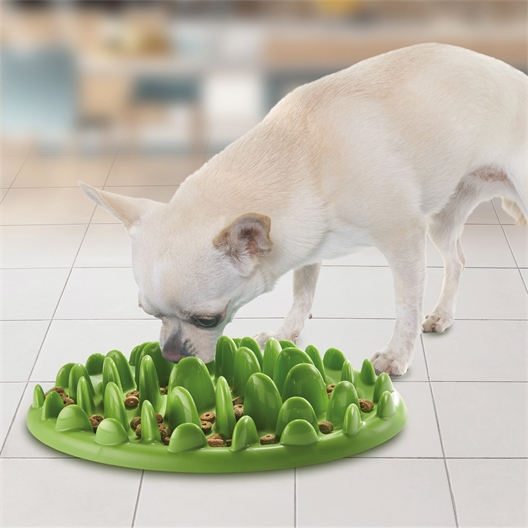 Gamelle anti-gloutonnerie Chien ou chat