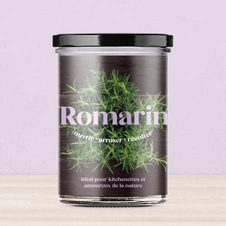Potager : diverses variétés