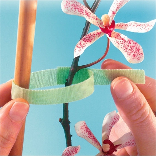 Hook and loop fastener strip for plant stems