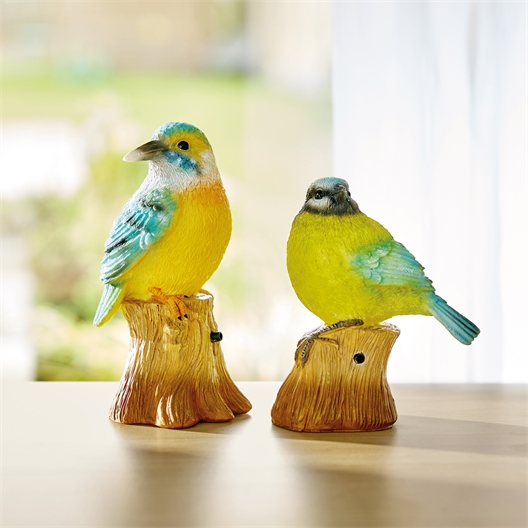 Oiseau siffleur - Martin pêcheur ou mésange