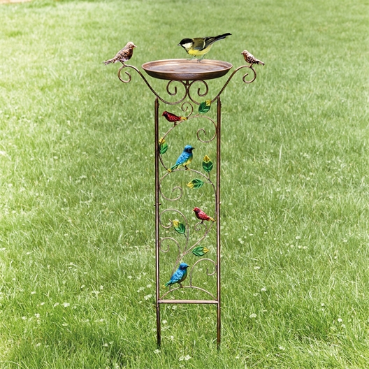 Baignoire oiseaux