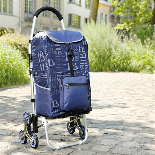 Chariot de courses bleu