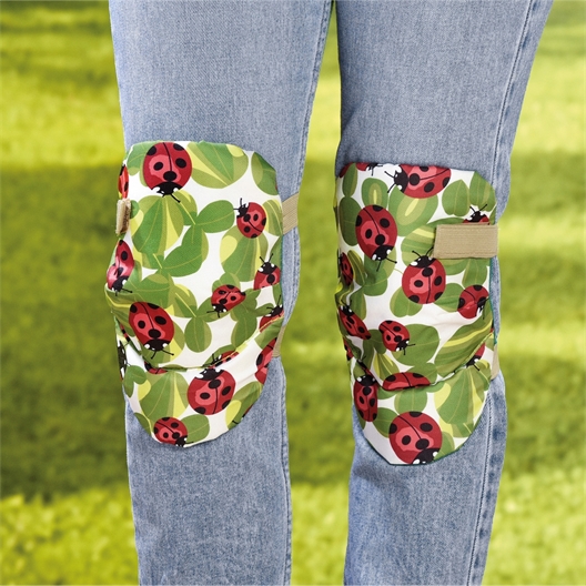 Ladybird knee pads