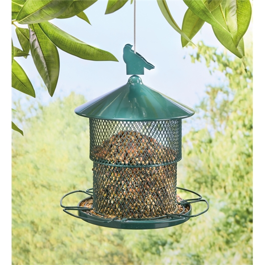 Mangeoire oiseaux