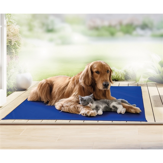 Comparer les prix de Tapis rafraîchissant 40 x 50 cm