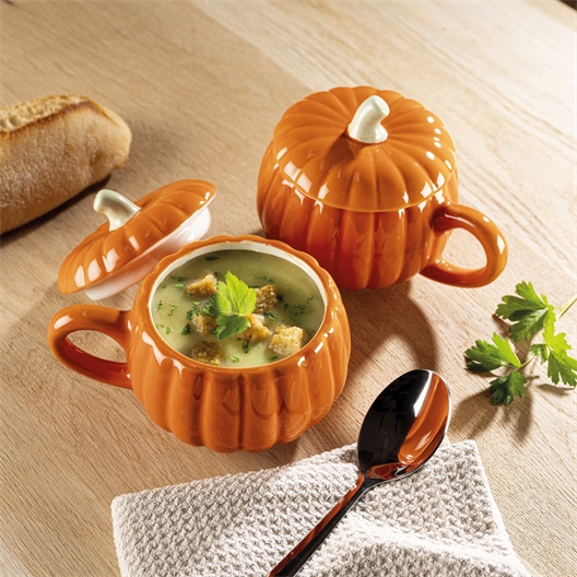 Lot de 2 bols à soupe citrouille