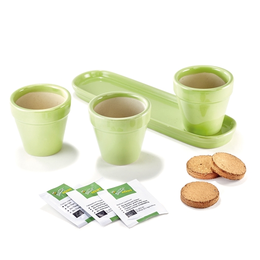 Set de 3 plantes aromatiques en pot