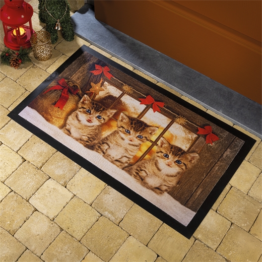 Tapis chatons