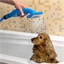 Duschbürste für Tiere
