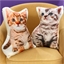 Kitten shaped cushion Ginger