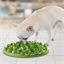 Gamelle anti-gloutonnerie Chien ou chat
