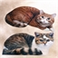 Cat shaped rug Rouxi or or set of 2 (Rouxi + Gribouille)
