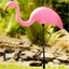 Solar powered pink flamingo