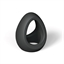 Anneau Flux ring