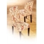 Floral chair cover or set of 2