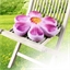 Coussin réhausseur de chaise fleur violet
