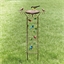 Baignoire oiseaux