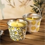 Bougie citronelle