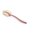 Brosse dos 2 en 1