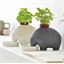 Pot éléphant à réserve d'eau gris ou blanc