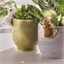 Lot de 2 décorations de pot