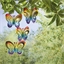 Lot de 4 suspensions papillons