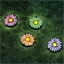 4 piquets solaires marguerites