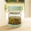 Pot olives et cornichons