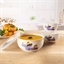 Lot de 3 bols avec couvercle oiseaux