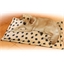 Fur-resistant dog rug 45 x 60 cm